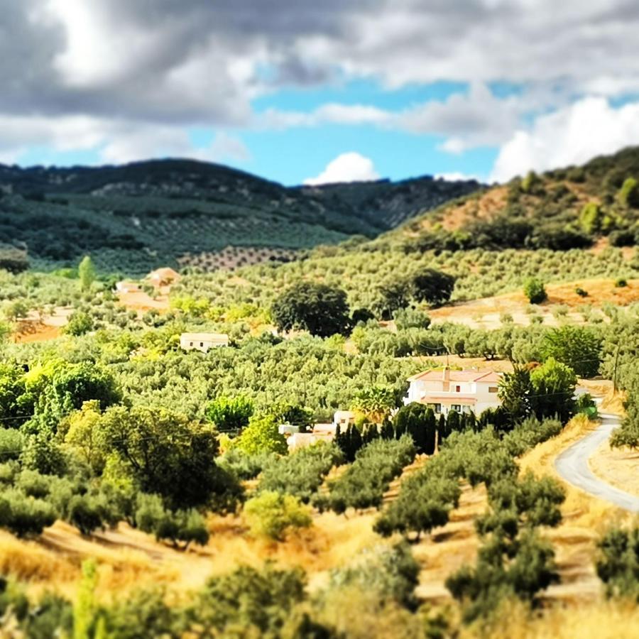 Cortijo Pennymaria Poolside Apartment Near Montefrio With Stunning Views Bagian luar foto