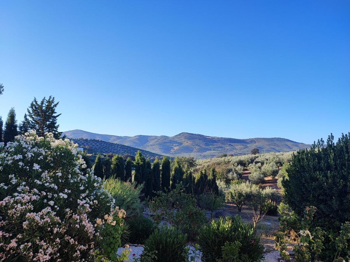 Cortijo Pennymaria Poolside Apartment Near Montefrio With Stunning Views Bagian luar foto