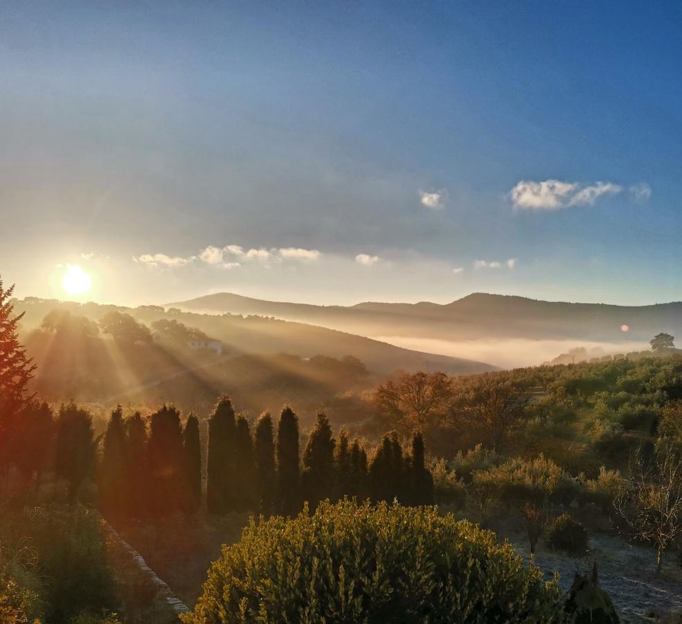 Cortijo Pennymaria Poolside Apartment Near Montefrio With Stunning Views Bagian luar foto